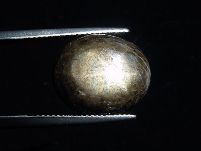 Sternsaphir 21,31 Ct. schwarz golden 17 x 14 mm Oval Cabochon