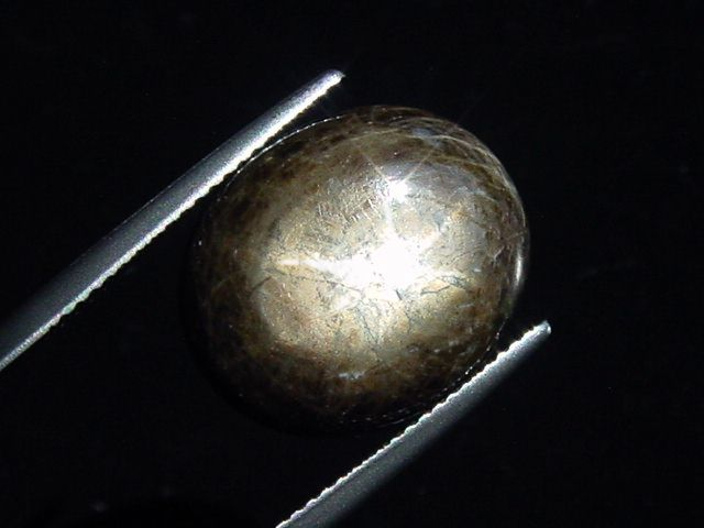 Sternsaphir 21,31 Ct. schwarz golden 17 x 14 mm Oval Cabochon