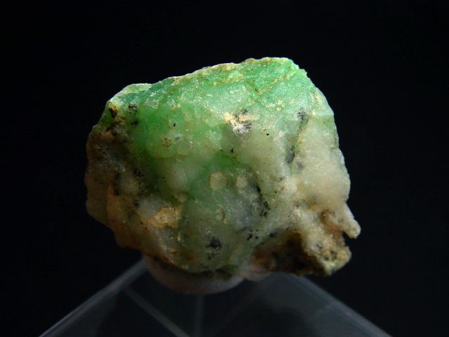 Chrysoprase specimen 36 mm fine color - Kivuma, Tanzania