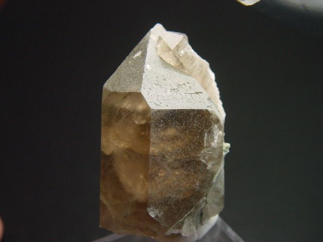 Smokey Quartz crystal 44 mm - Galenstock, Switzerland