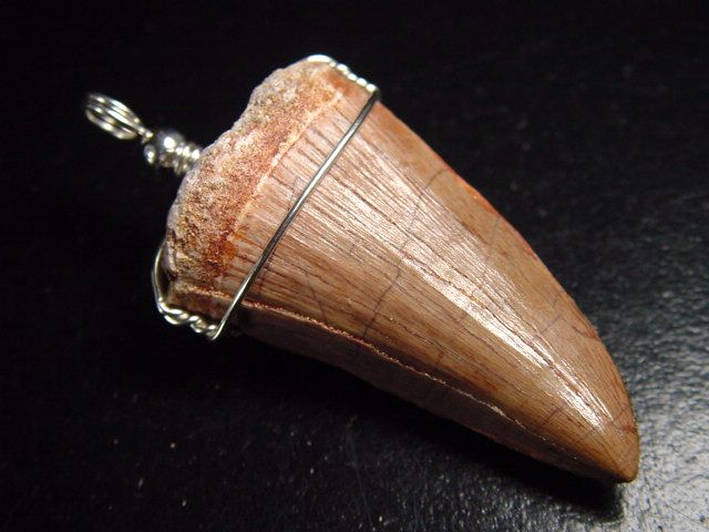 Mosasaur tooth pendant 925 silver - 5,4 cm - Mosasaurus Dinosaur