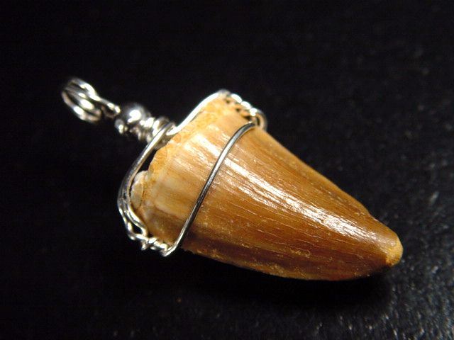 Mosasaur tooth pendant 925 silver - 3,8 cm - Mosasaurus Dinosaur