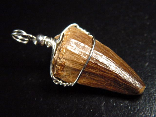 Mosasaur tooth pendant 925 silver - 4,1 cm - Mosasaurus Dinosaur