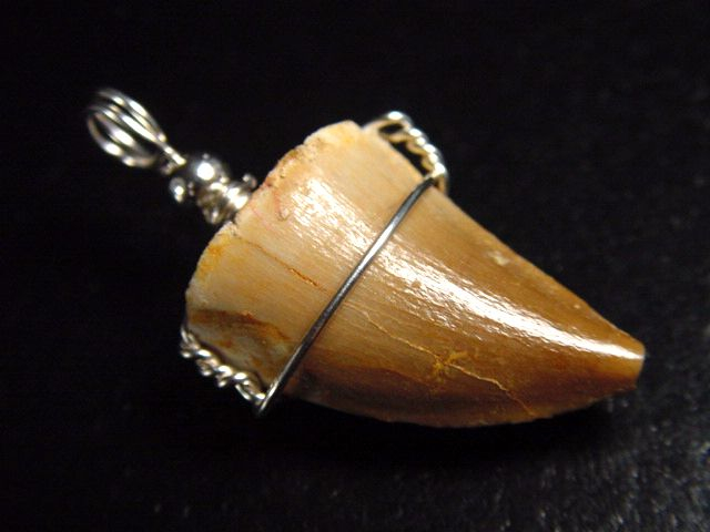 Mosasaur tooth pendant 925 silver - 3,7 cm - Mosasaurus Dinosaur
