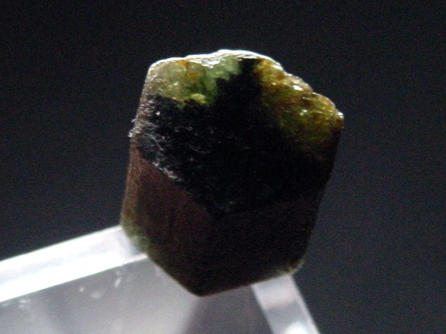 Trapiche Turmalin - sehr selten - 9 mm Kristallscheibe