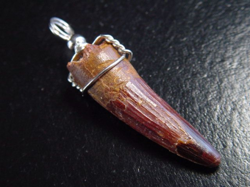 Spinosaurus Zahn Anhänger 925 Silber - 4,7 cm - Spinosaurier Dinosaurier