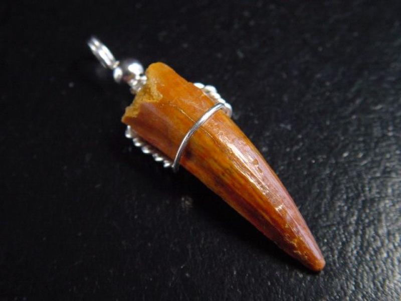 Spinosaurus tooth pendant 925 silver - 4,6 cm - Spinosaur Dinosaur