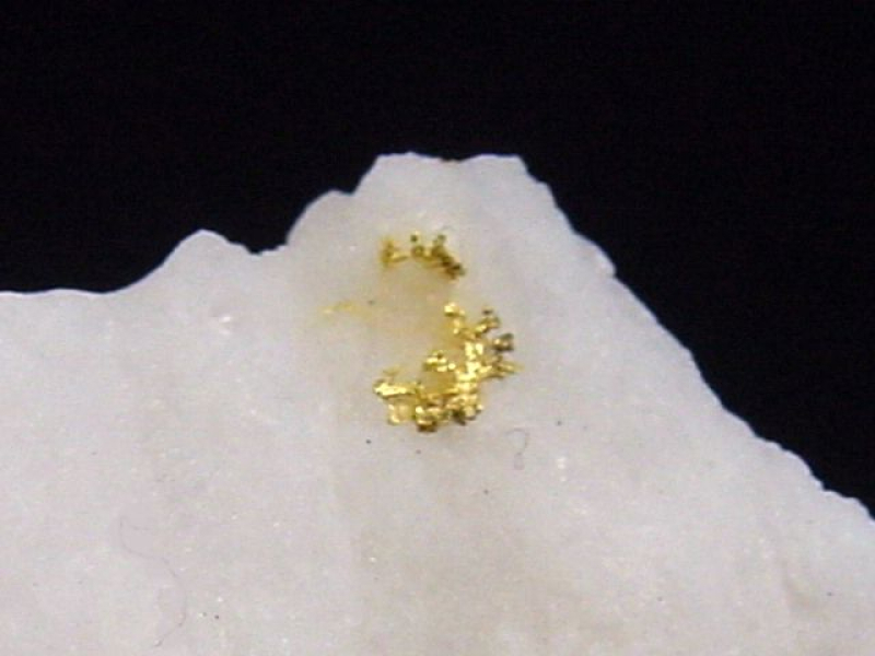 Gold kristallin in Quarz 25 mm Brusson, Val d'Aosta, Italien