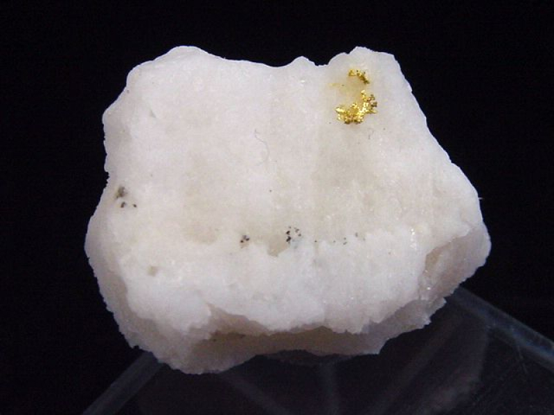 Gold kristallin in Quarz 25 mm Brusson, Val d'Aosta, Italien