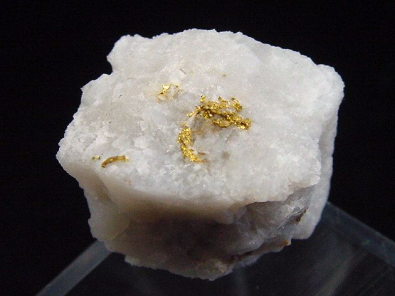 Gold kristallin in Quarz 21 mm Brusson, Val d'Aosta, Italien