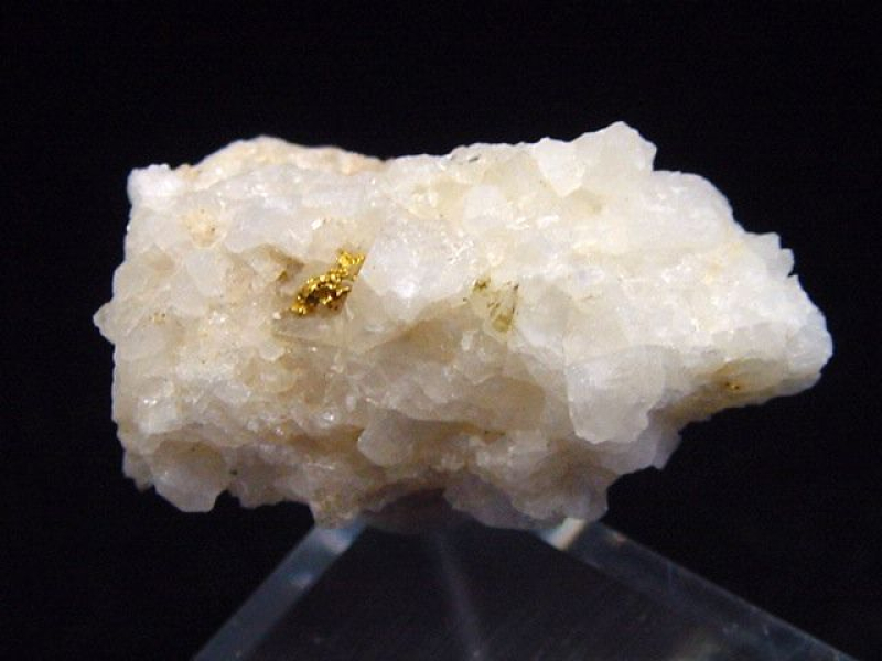 Gold kristallin in Quarz 26 mm Brusson, Val d'Aosta, Italien