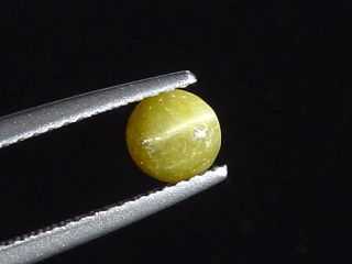 Chrysoberyll Katzenauge 0,68 Ct. Rund Cabochon Sri Lanka