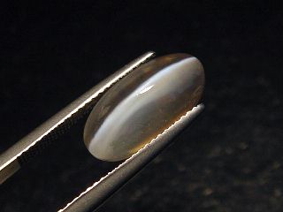 Sillimanite cat's eye 7,45 Ct. oval cabochon Sri Lanka