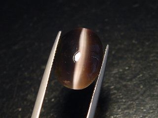 Sillimanite cat's eye 18,06 Ct. oval cabochon Sri Lanka