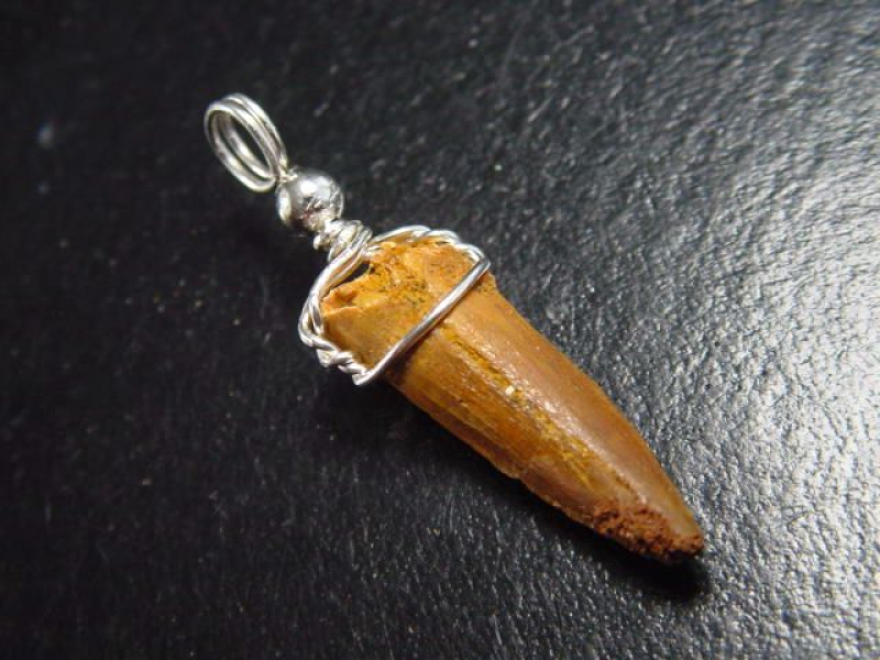 Spinosaurus Zahn Anhänger 925 Silber - 3,9 cm - Spinosaurier Dinosaurier