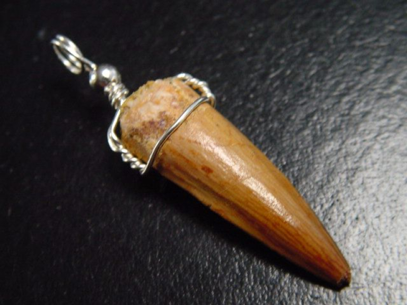 Spinosaurus Zahn Anhänger 925 Silber - 4,8 cm - Spinosaurier Dinosaurier