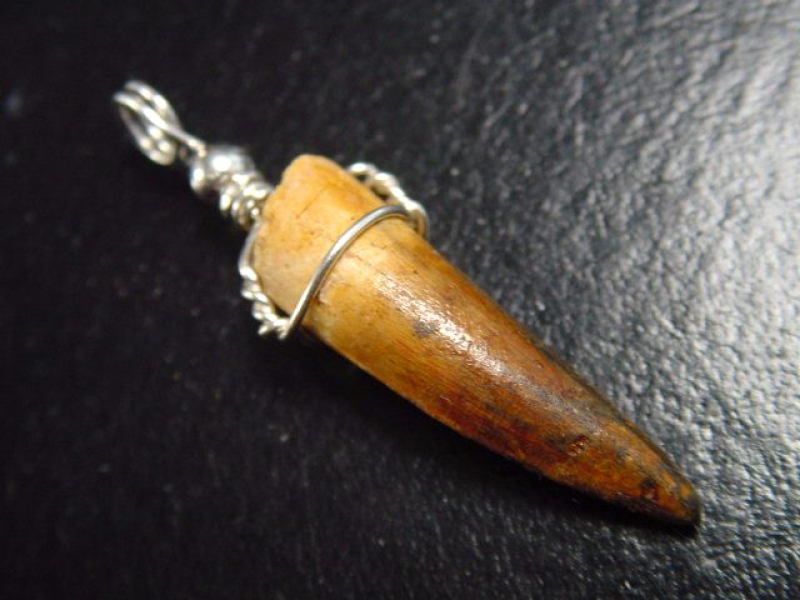 Spinosaurus Zahn Anhänger 925 Silber - 4,5 cm - Spinosaurier Dinosaurier