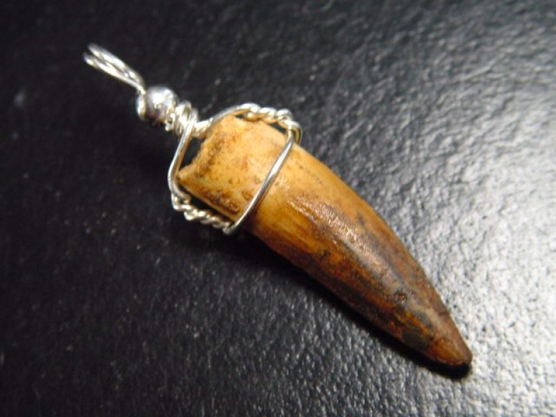 Spinosaurus Zahn Anhänger 925 Silber - 4,5 cm - Spinosaurier Dinosaurier