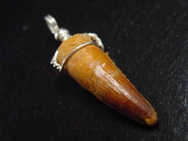 Spinosaurus Zahn Anhänger 925 Silber - 4,4 cm - Spinosaurier Dinosaurier