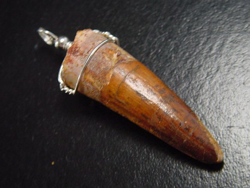 Spinosaurus Zahn Anhänger 925 Silber - 5,9 cm - Spinosaurier Dinosaurier