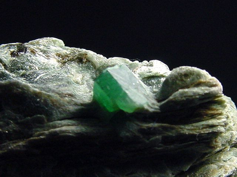 Emerald specimen 59 mm - Habachtal, Austria
