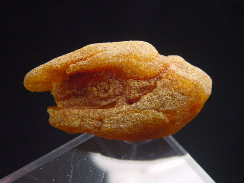 Bernstein Rohstein 38 mm intensive Farbe Polen