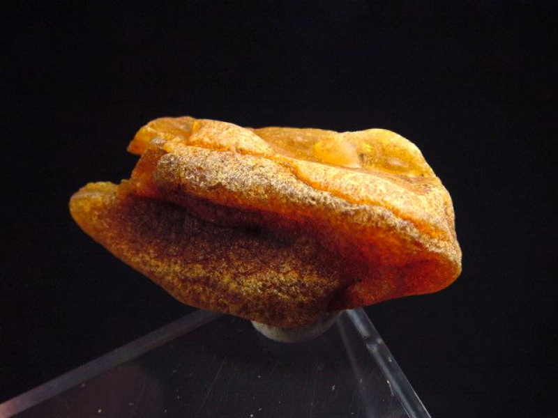 Bernstein Rohstein 38 mm intensive Farbe Polen