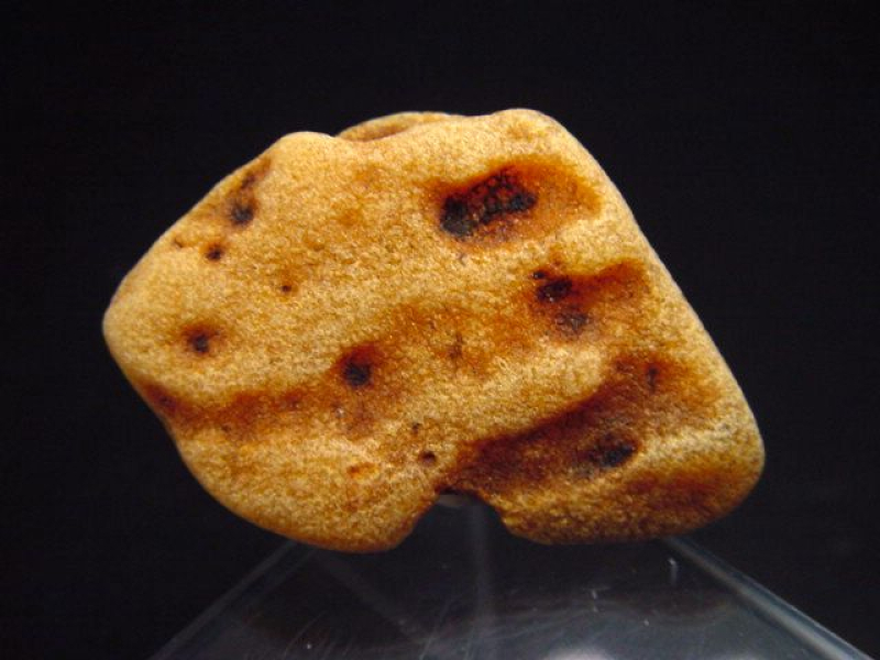 Bernstein Rohstein 36 mm intensive Farbe Polen