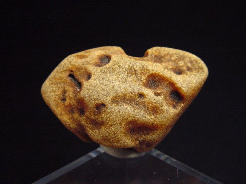 Bernstein Rohstein 36 mm intensive Farbe Polen