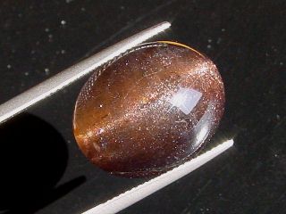 Iolit / Cordierit Katzenauge 20,07 Ct. - Oval Sri Lanka