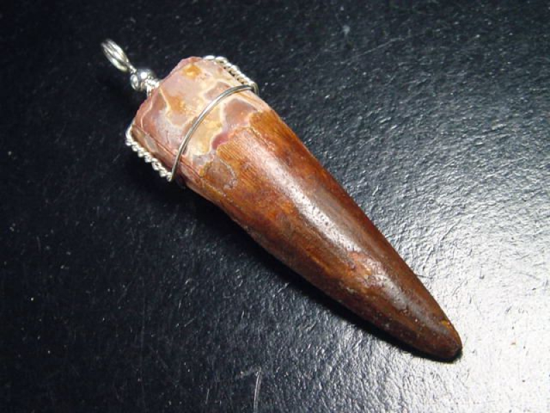 Spinosaurus Zahn Anhänger 925 Silber - 6,9 cm - Spinosaurier Dinosaurier