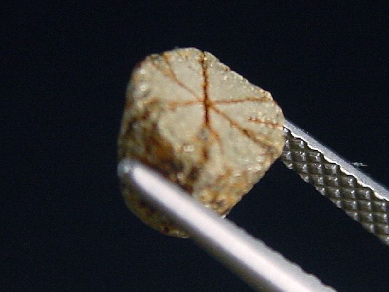 Trapiche Cordierit, Cerasit / Kirschblütenstein 6 mm selten Kyoto, Japan