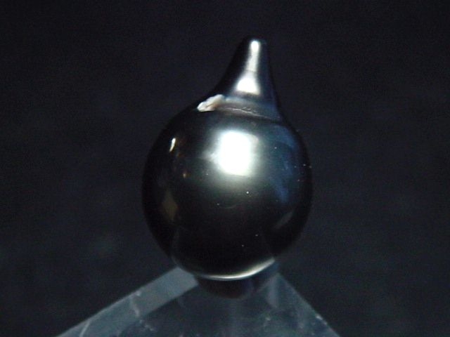 Black Tahitian Pearl 14 mm loose undrilled - French Polynesia
