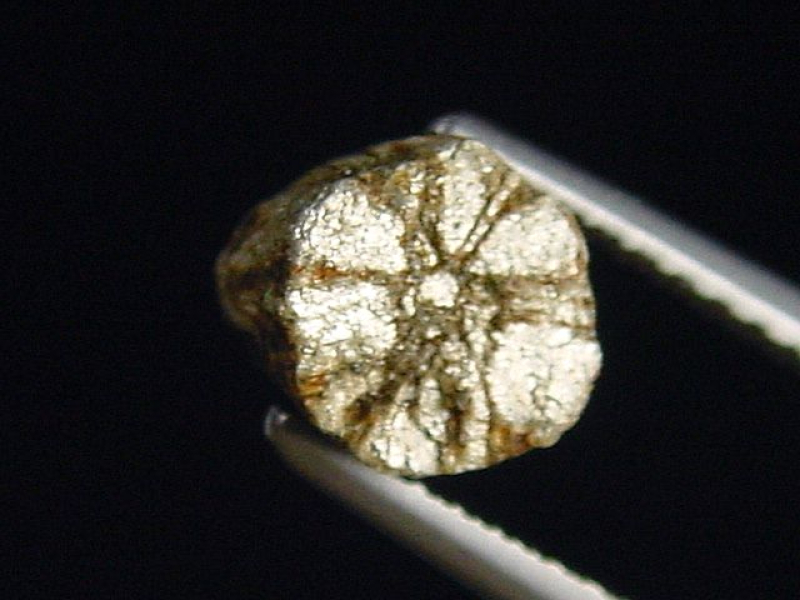 Trapiche Cordierit, Cerasit / Kirschblütenstein 7 mm selten Kyoto, Japan