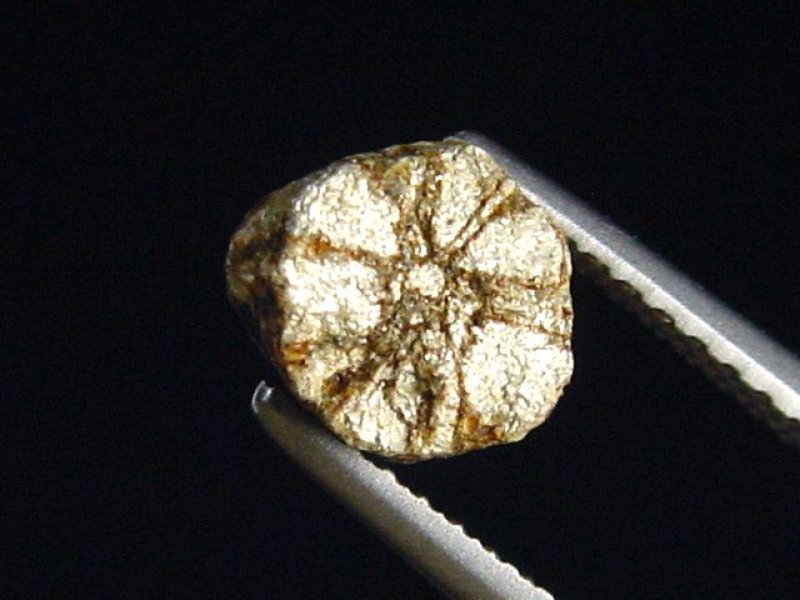 Trapiche Cordierit, Cerasit / Kirschblütenstein 7 mm selten Kyoto, Japan