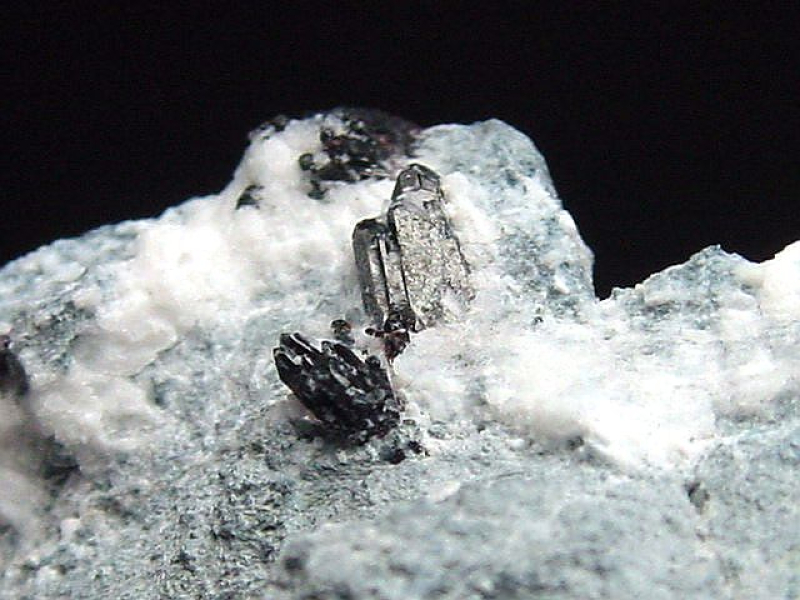 Neptunit Stufe 32 mm - San Benito Co., Kalifornien, USA