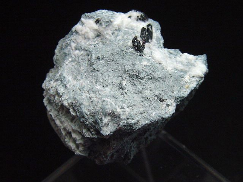 Neptunit Stufe 32 mm - San Benito Co., Kalifornien, USA