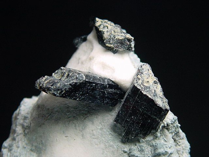 Neptunit Stufe 47 mm - San Benito Co., Kalifornien, USA