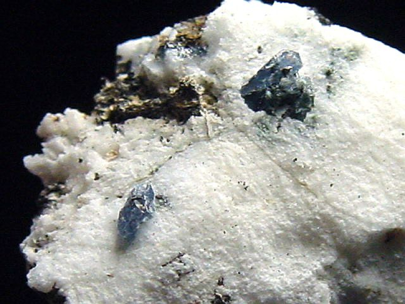 Benitoit mit Neptunit Stufe 16 mm - San Benito Co., Kalifornien, USA