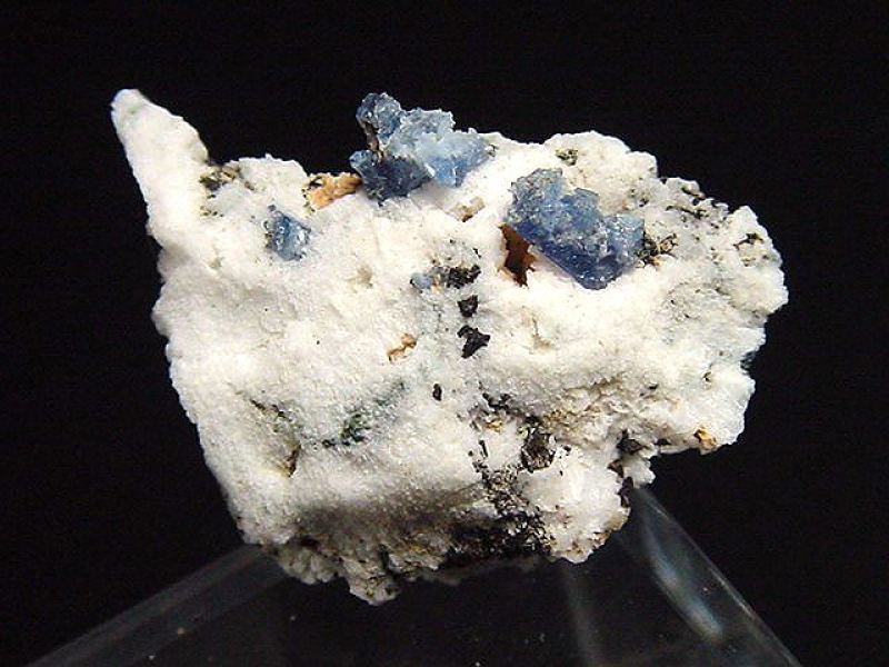 Benitoit mit Neptunit Stufe 17 mm - San Benito Co., Kalifornien, USA