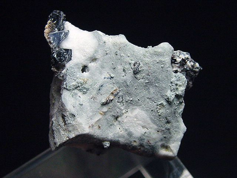 Benitoit mit Neptunit Stufe 27 mm - San Benito Co., Kalifornien, USA