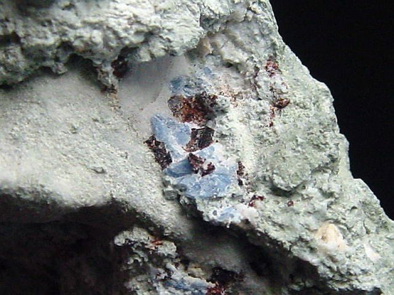 Benitoit mit Neptunit Stufe 45 mm - San Benito Co., Kalifornien, USA