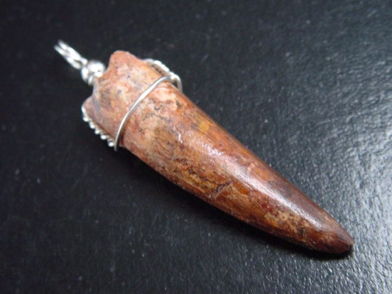 Spinosaurus tooth pendant 925 silver - 5,7 cm - Spinosaur Dinosaur