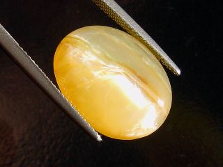 Opal Catseye 15,16 Ct. oval cabochon Brazil