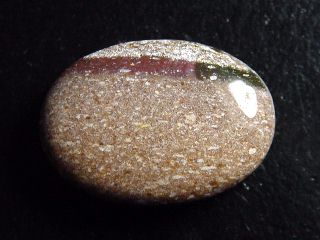 Jaspis 33,01 Ct. Oval Cabochon Brasilien