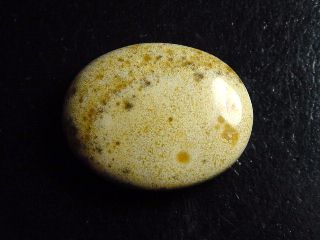 Jasper 30,57 Ct. oval cabochon Brazil