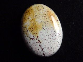 Jaspis 34,11 Ct. Oval Cabochon Brasilien