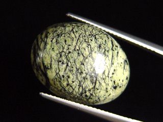 Nephrite Jade in Serpentinite 14,59 Ct. cabochon Canada