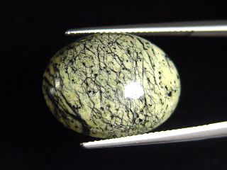 Nephrite Jade in Serpentinite 14,59 Ct. cabochon Canada