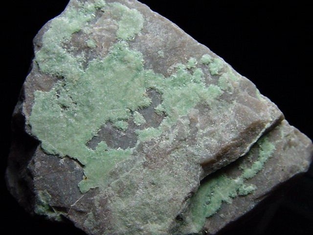 Variscit / Utah Türkis 32 mm - Utah, USA